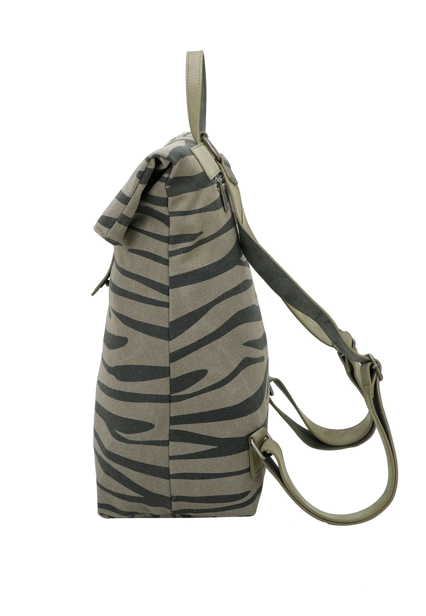 Izzy03-Zebra - Image 8